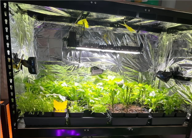 Maximizing Plant Growth: The Rising Popularity of Grow Tents in Indoor Gardening